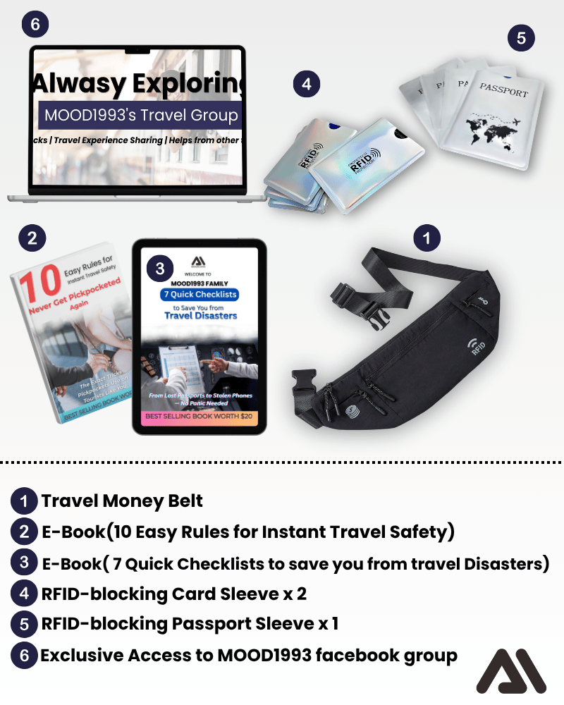 Travel Money Belt